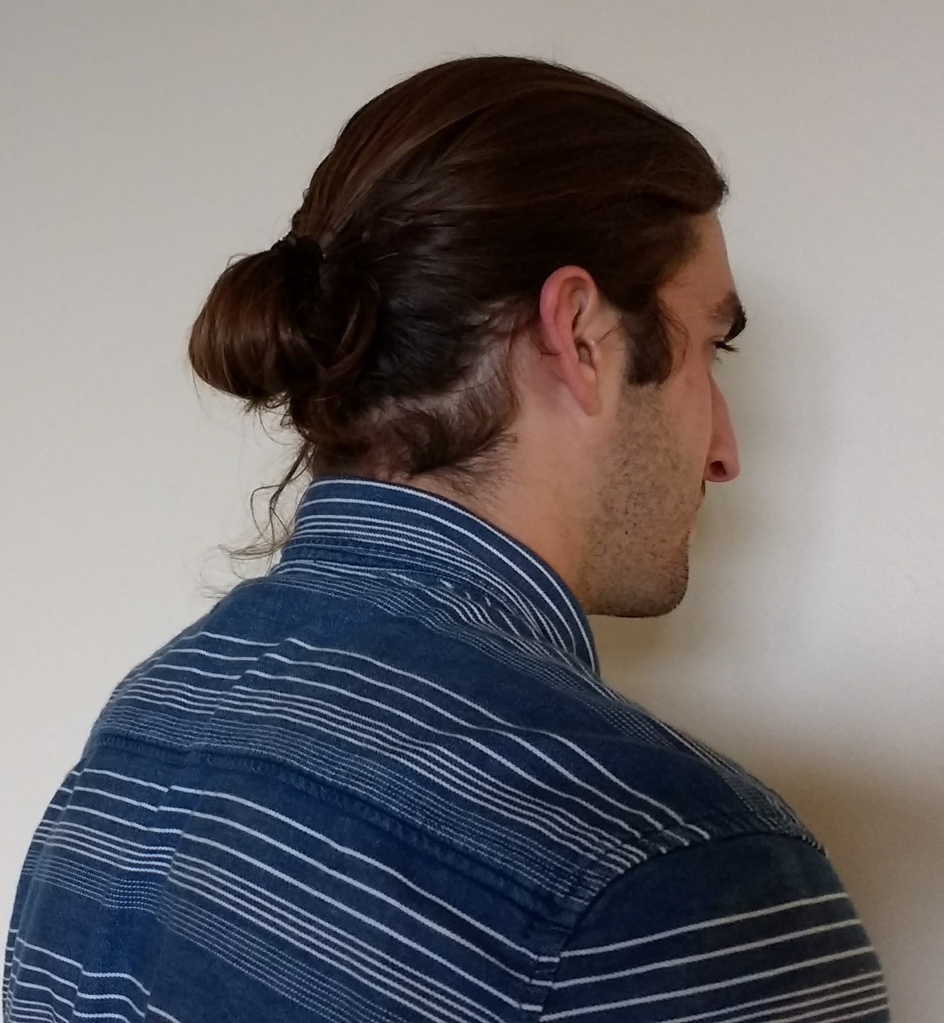 Bun (Hairstyle) - Wikipedia with regard to Asian Ponytail Hairstyles Male
