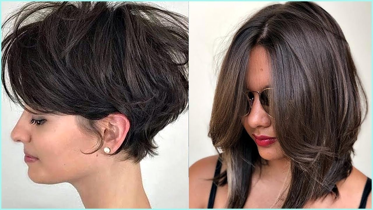 15 Amazing Haircut To Try ❤️ Professional Haircuts For Women throughout Hair Cut Try On