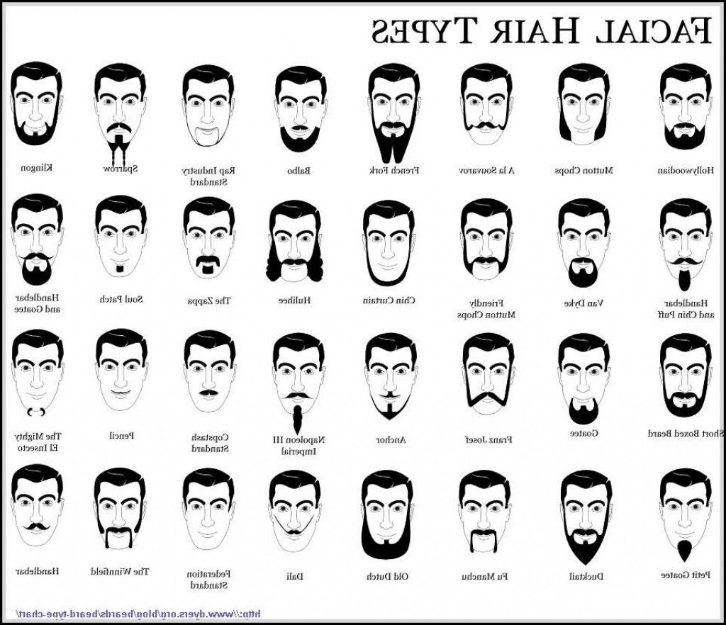 Haircut Names Men / Haircut Names For Men - Types of Haircuts (2021 ...