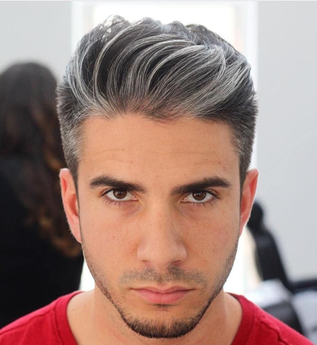 Brushed Back Salt And Pepper Hairstyle | Cool Men's in Mens Salt And Pepper Hair Styles