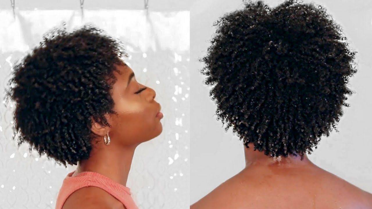 Easy 20 Minute Wash And Go | 4B/4C Natural Hair throughout Best Wash And Go Hairstyles For Short 4C Hair