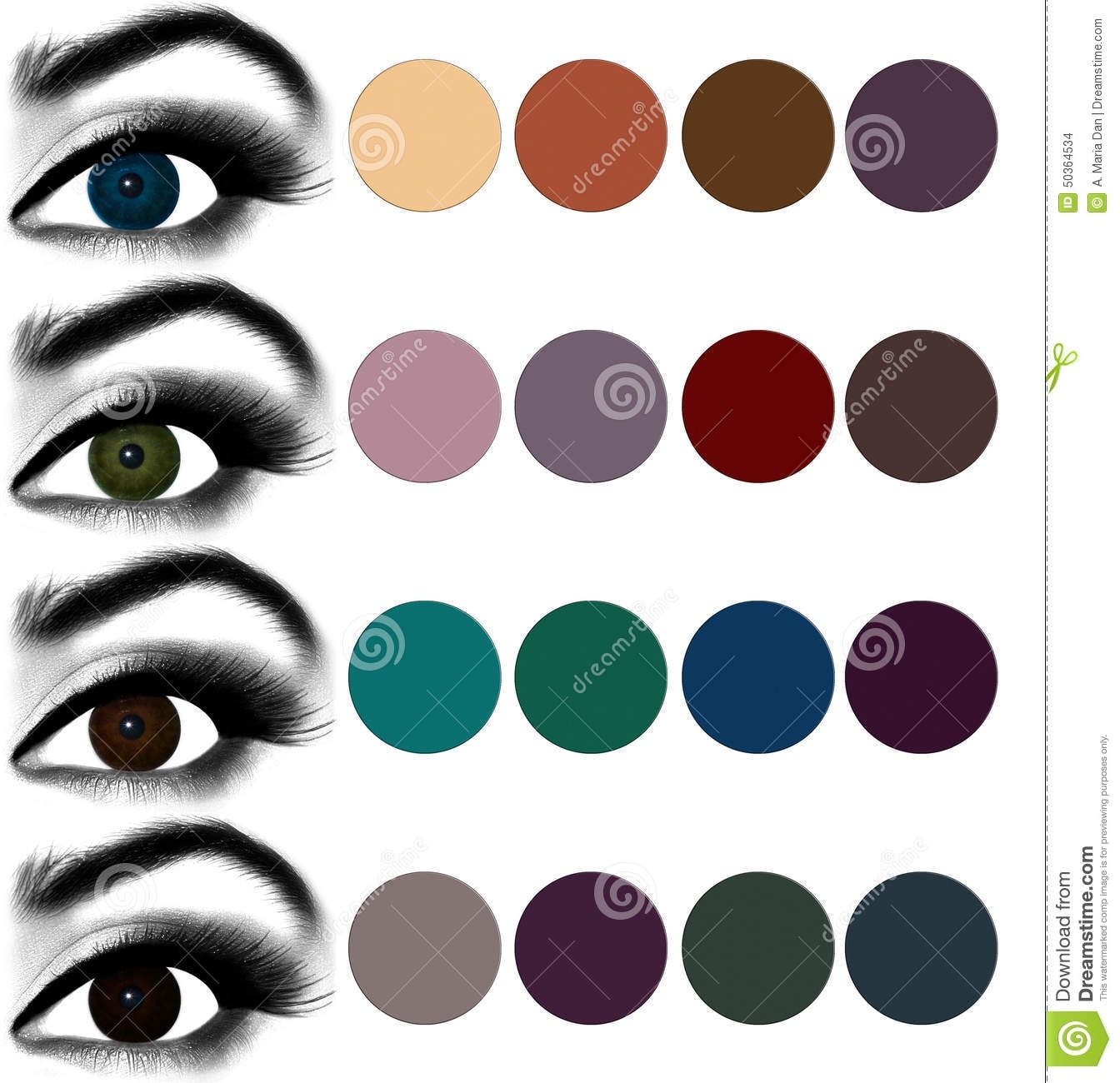 Eyes Makeup.matching Eyeshadow To Eye Color. Stock with Eyeshadow Colors For Brown Green Eyes