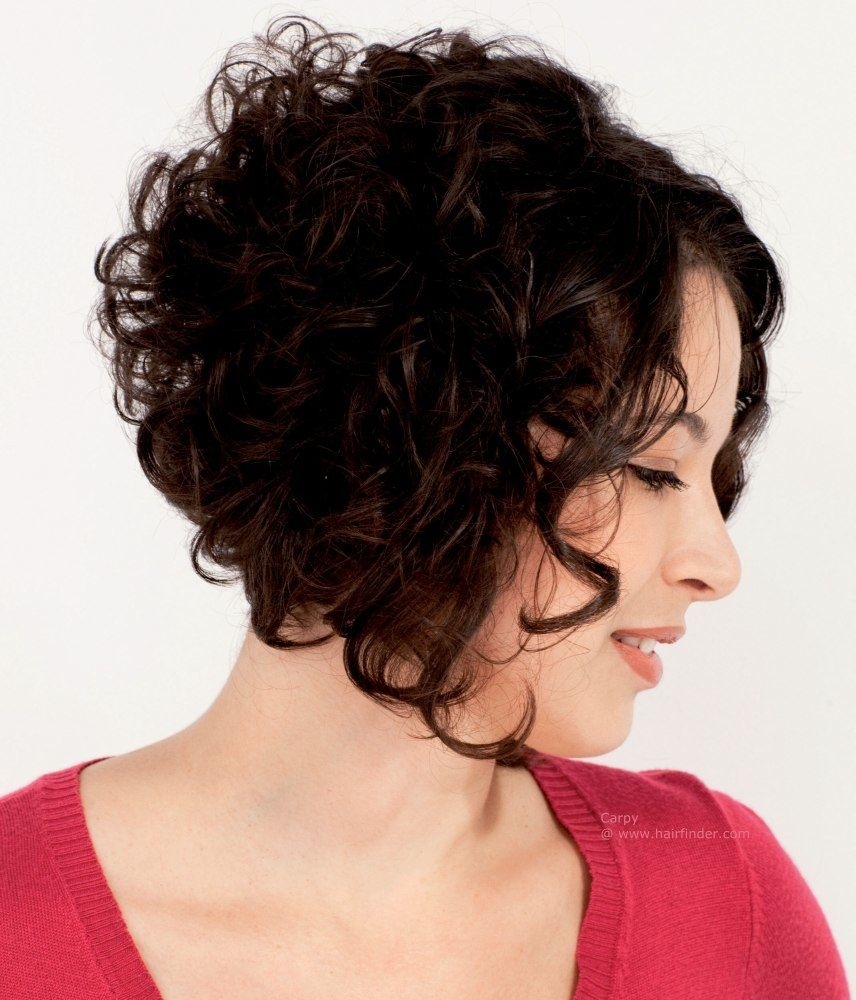 Hairstyles, Fullness For Curly Hair With An A Line Cut throughout A Line For Curly Hair