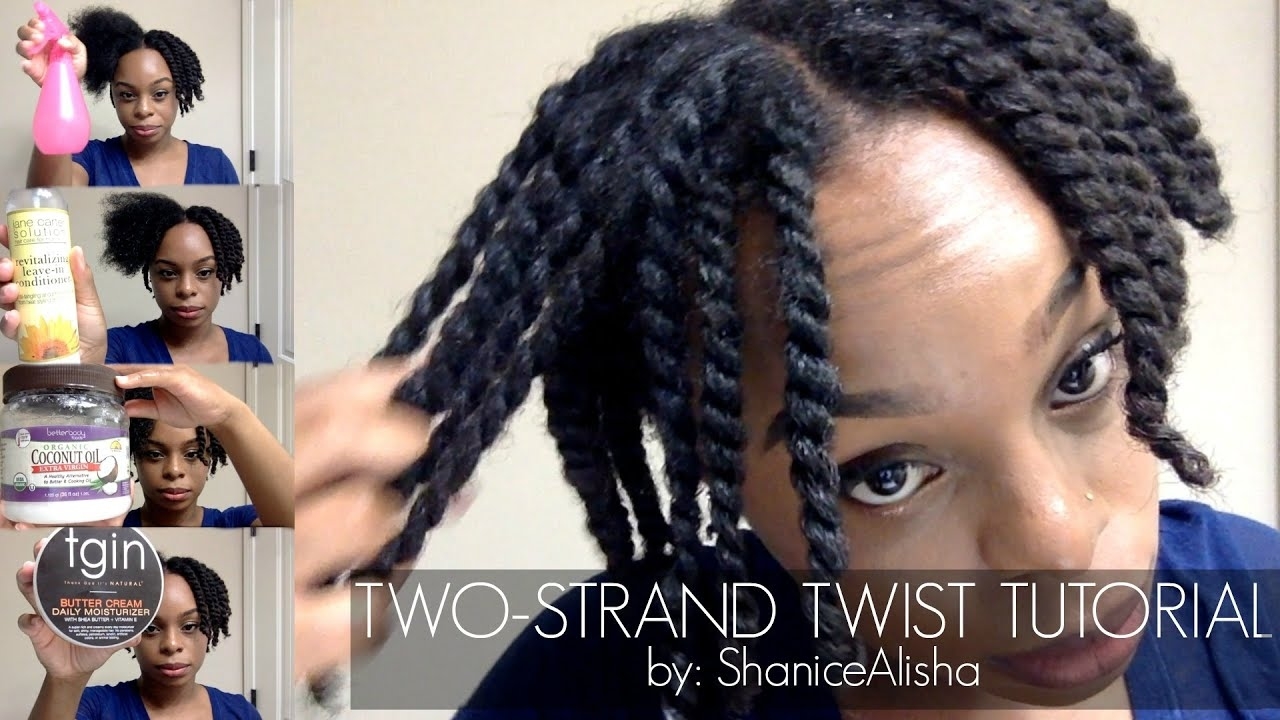 How To Two Strand Twist Your 4C Natural Hair | By: Shanicealisha within Two Strand Twist Natural Hair Instructions