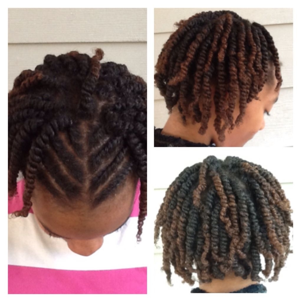 Pin On Styles By Me with regard to Flat Two Strand Twist Hairstyles